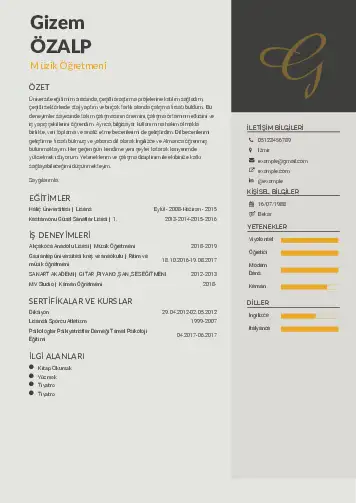 Müzik Öğretmeni Cv Örnekleri cv indir